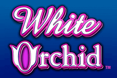 logo white orchid igt juegos casino 