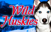 logo wild huskies bally 