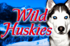 logo wild huskies bally juegos casino 