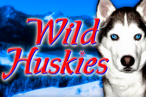 logo wild huskies bally 